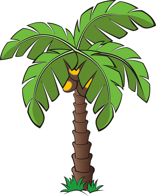 palm_tree_PNG93355