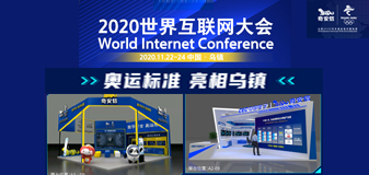 2020年“世界互联网大会·互联网发展论坛”